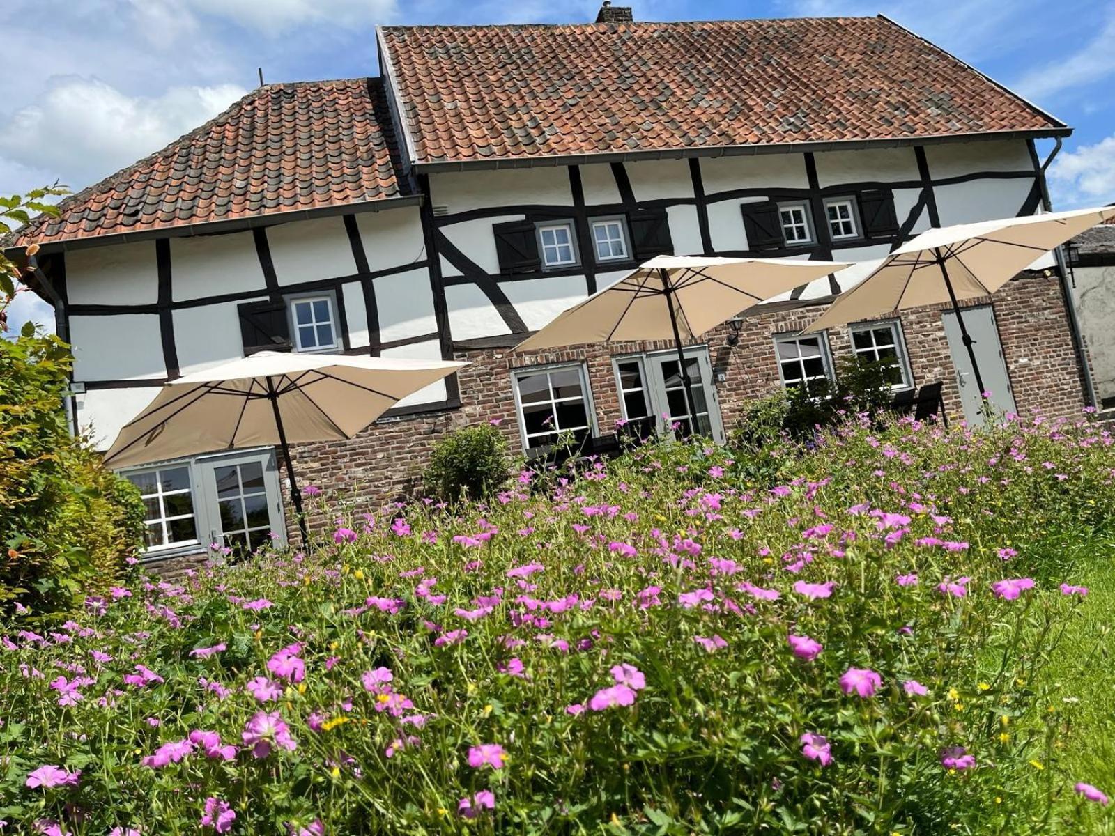 'hoeve De Witte Olifant' Holiday park Noorbeek